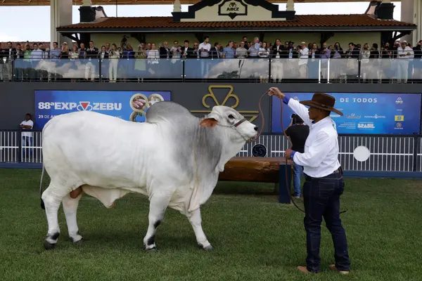 Governador participa da abertura da 88ª edição da Expozebu, em Uberaba