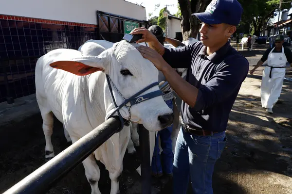 Governador participa da abertura da 88ª edição da Expozebu, em Uberaba