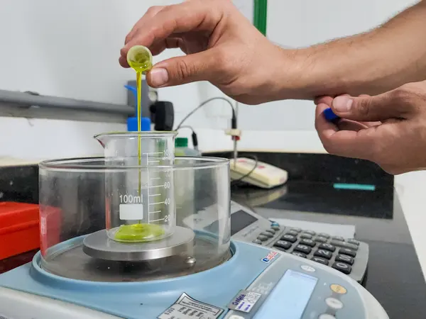 Agroindústria familiar de São Sebastião do Paraíso investe em linha de produtos derivados do abacate
