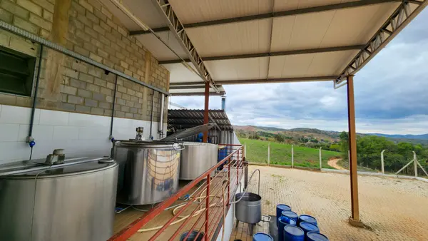 Governo de Minas enriquece merenda escolar com leite adquirido de pequenos produtores e cooperativas locais