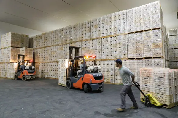 Setor agropecuário mineiro gera mais de 1,9 mil empregos com carteira em julho 