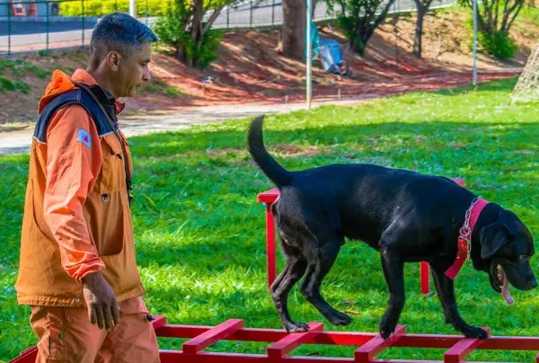 Cabo Everson Corrêa e cão Zeus