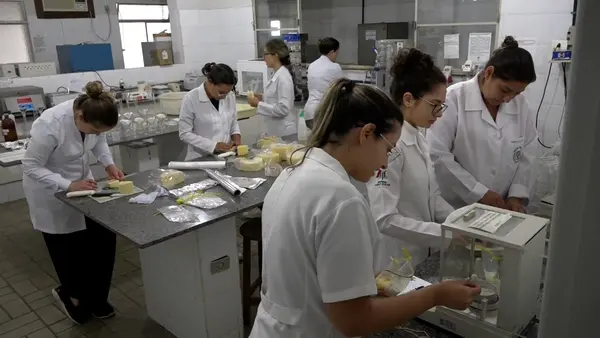 Investimento do Governo em pesquisas valoriza o queijo mineiro, garante qualidade e melhora a renda das famílias  