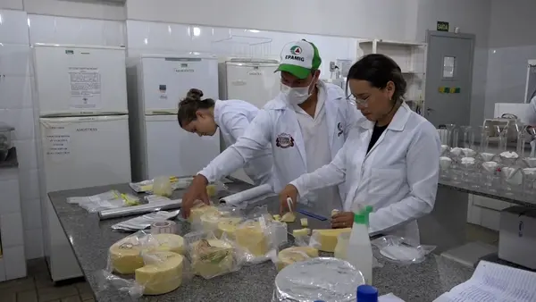 Investimento do Governo em pesquisas valoriza o queijo mineiro, garante qualidade e melhora a renda das famílias  