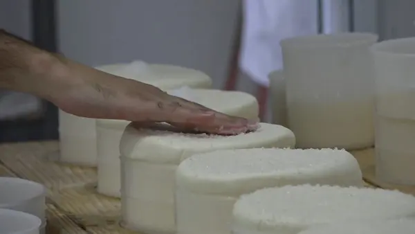 Investimento do Governo em pesquisas valoriza o queijo mineiro, garante qualidade e melhora a renda das famílias  