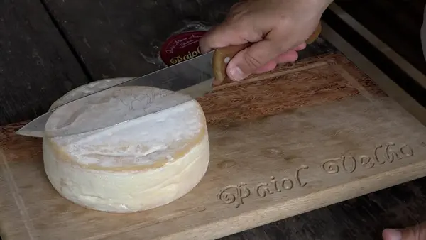 Investimento do Governo em pesquisas valoriza o queijo mineiro, garante qualidade e melhora a renda das famílias  
