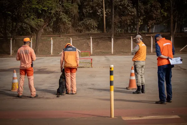 Bombeiros promovem grande mobilização de combate à dengue