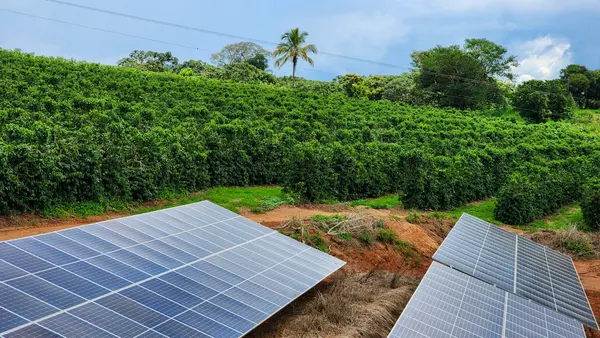 Minas apresenta Plataforma SeloVerde, desenvolvida em conjunto com a União Europeia