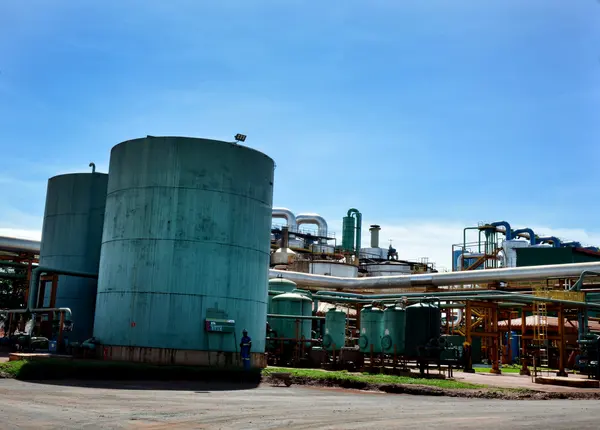 Vice-governador participa da inauguração de nova linha de produção em Limeira do Oeste