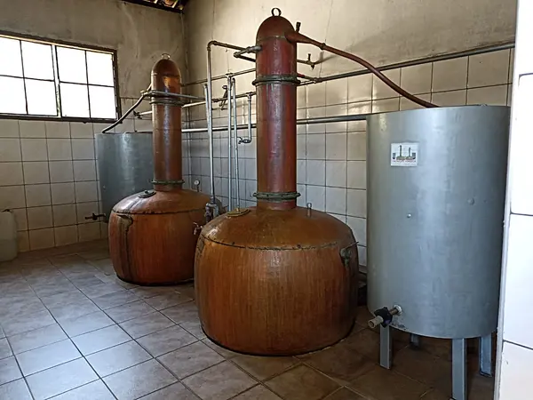 Governo investe em pesquisas para garantir a qualidade da cachaça mineira