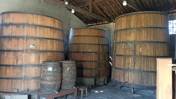 Governo investe em pesquisas para garantir a qualidade da cachaça mineira