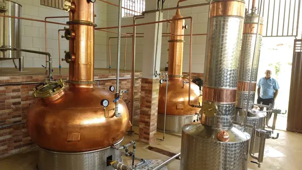 Governo investe em pesquisas para garantir a qualidade da cachaça mineira
