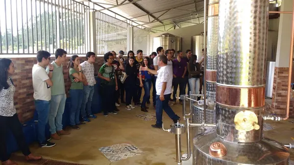 Governo investe em pesquisas para garantir a qualidade da cachaça mineira