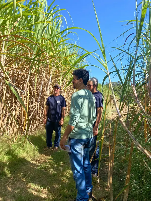 Governo investe em pesquisas para garantir a qualidade da cachaça mineira
