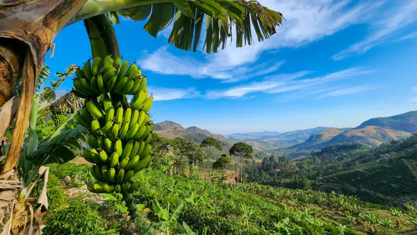 Programa do Governo de Minas fortalece o cooperativismo na agricultura familiar