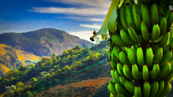 Programa do Governo de Minas fortalece o cooperativismo na agricultura familiar