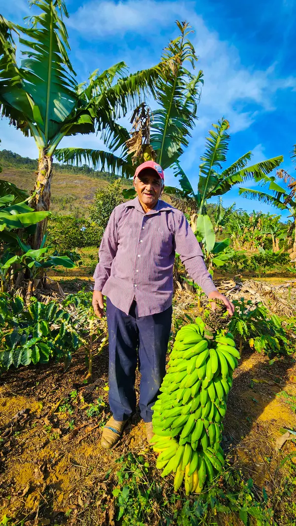 Gilmar Barbosa  produz café e banana