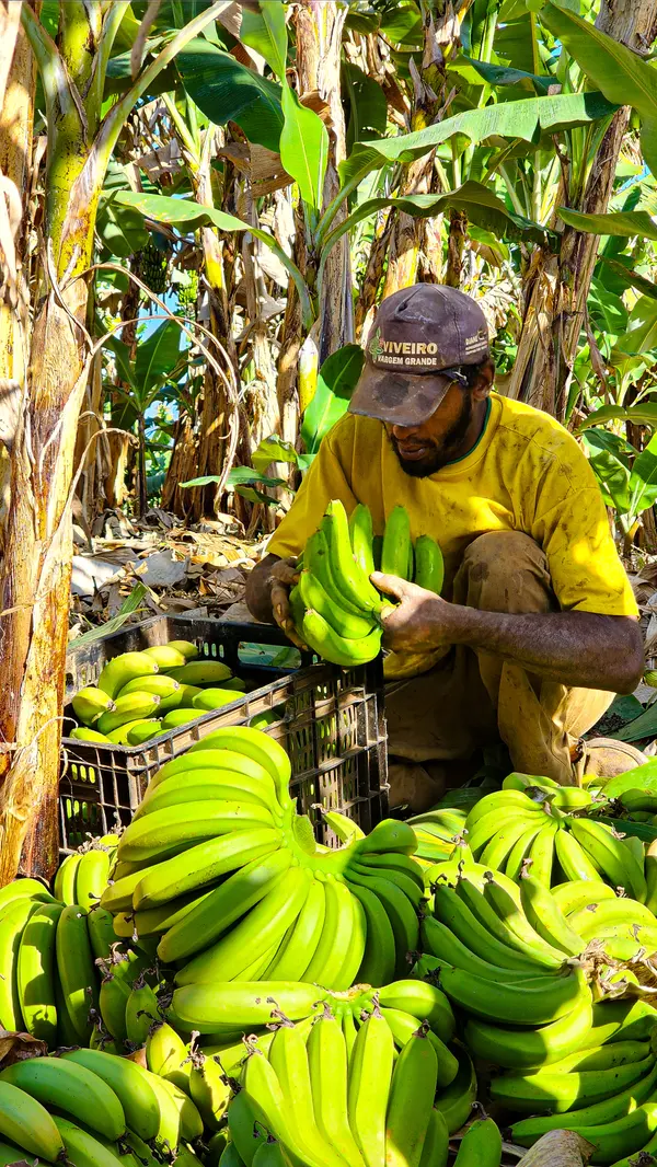 Programa do Governo de Minas fortalece o cooperativismo na agricultura familiar