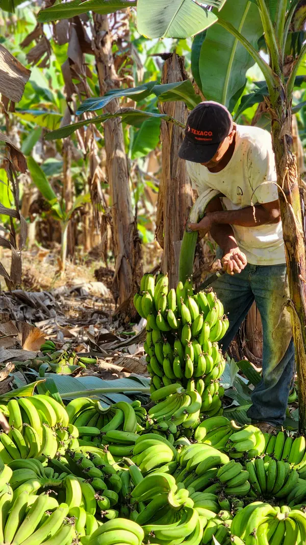 Programa do Governo de Minas fortalece o cooperativismo na agricultura familiar