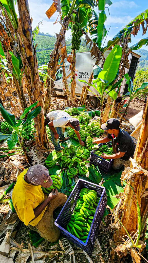 Programa do Governo de Minas fortalece o cooperativismo na agricultura familiar