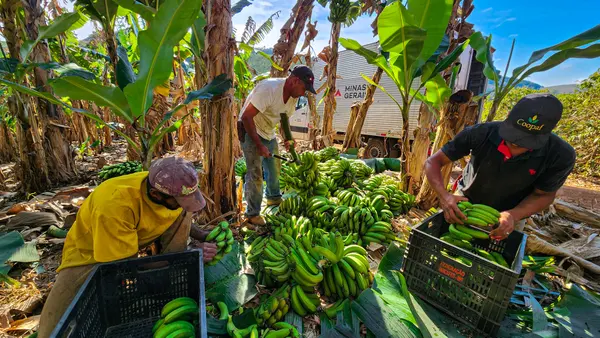 Programa do Governo de Minas fortalece o cooperativismo na agricultura familiar