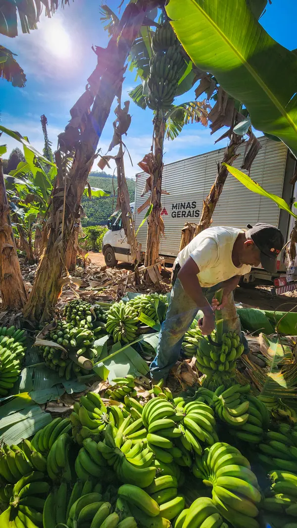 Programa do Governo de Minas fortalece o cooperativismo na agricultura familiar