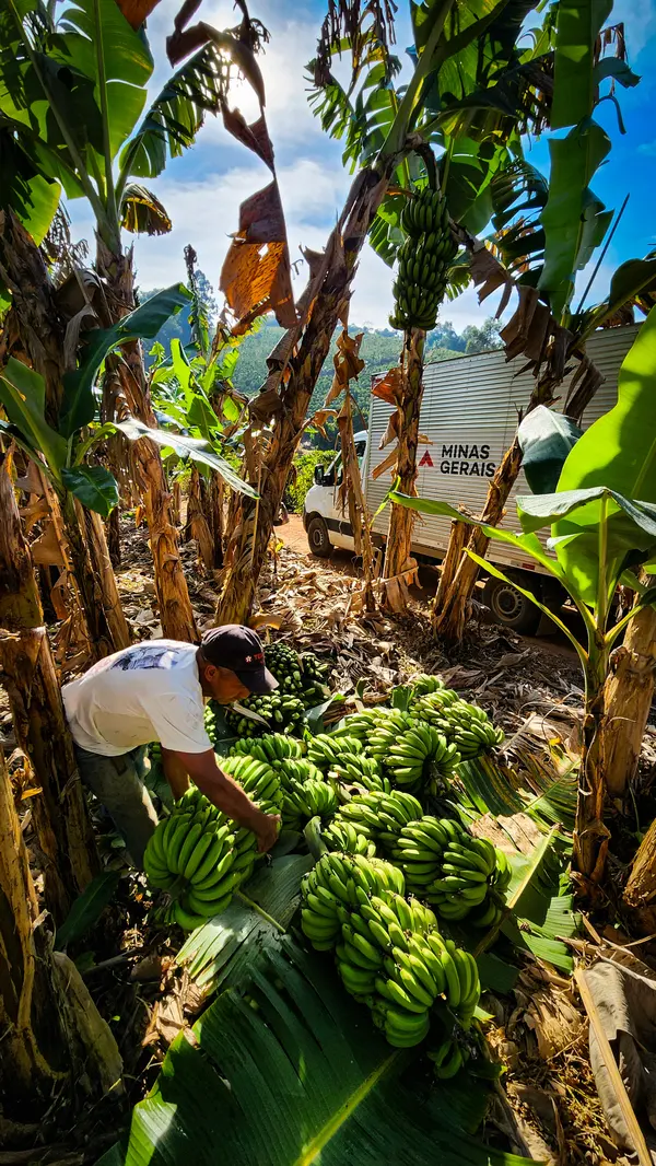 Programa do Governo de Minas fortalece o cooperativismo na agricultura familiar
