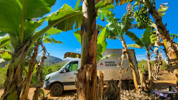 Programa do Governo de Minas fortalece o cooperativismo na agricultura familiar