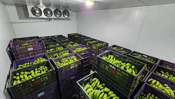 Programa do Governo de Minas fortalece o cooperativismo na agricultura familiar