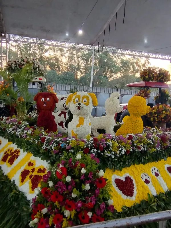 Produtores de flores de Minas comemoram aquecimento do setor