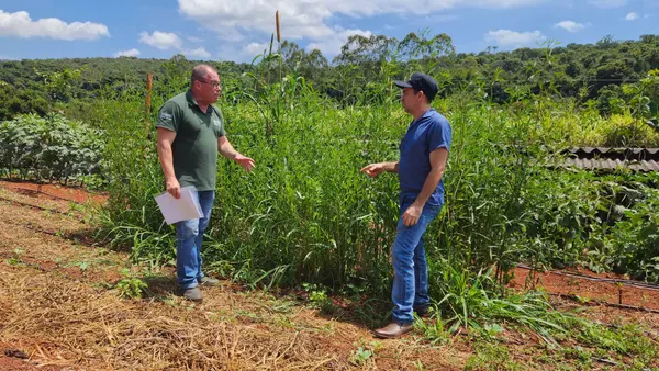 Projeto que cuida da saúde do solo vai abranger 1,8 mil propriedades rurais de Minas Gerais