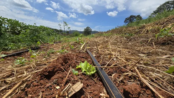 Projeto que cuida da saúde do solo vai abranger 1,8 mil propriedades rurais de Minas Gerais