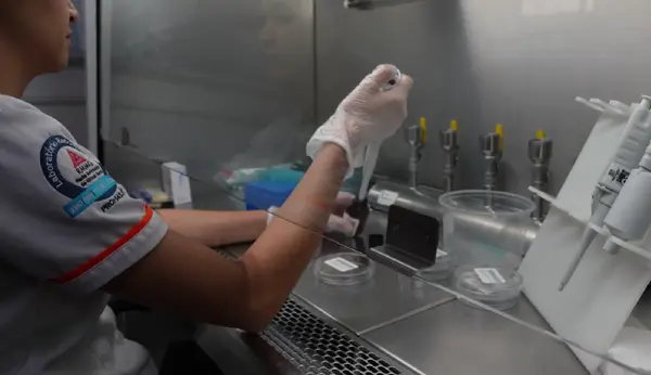 Em nova fase, Projeto Queijo Minas Legal já garantiu habilitação sanitária a 88 queijarias no estado 
