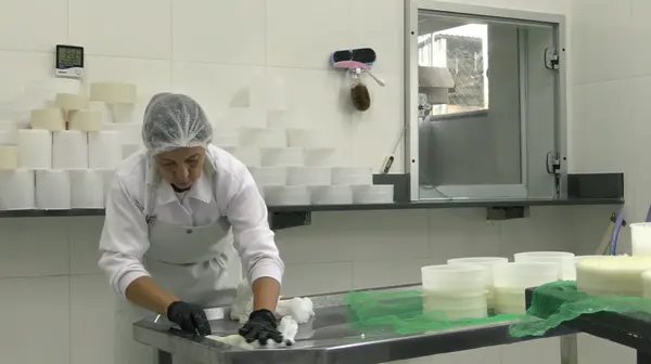 Em nova fase, Projeto Queijo Minas Legal já garantiu habilitação sanitária a 88 queijarias no estado 