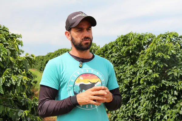 Melhoramento genético impulsiona qualidade e produtividade do café de Minas Gerais 