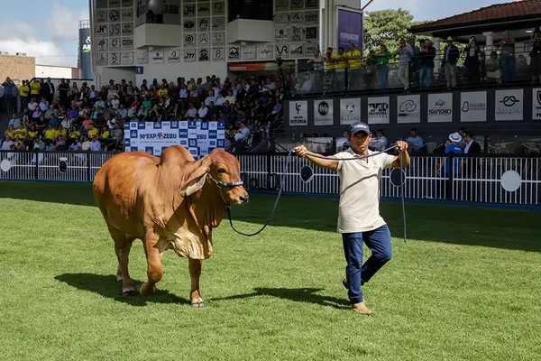 Governador participa da abertura da 90ª edição da tradicional ExpoZebu, em Uberaba