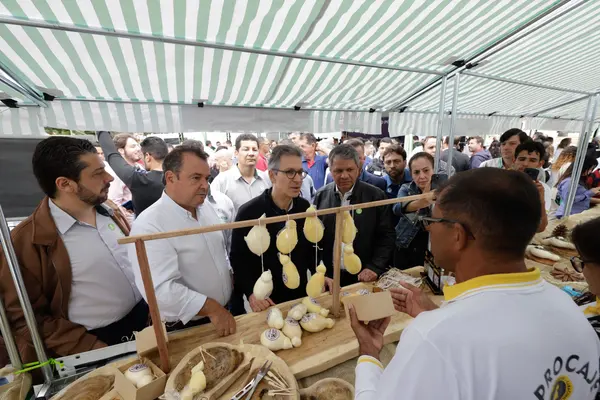 Governo de Minas anuncia regulamentação do Queijo Cabacinha, patrimônio cultural e imaterial do estado