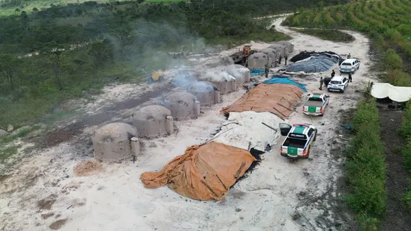 Minas Gerais amplia transparência com novo relatório de fiscalização ambiental moderno e interativo