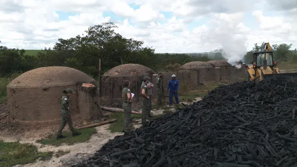 Minas Gerais amplia transparência com novo relatório de fiscalização ambiental moderno e interativo