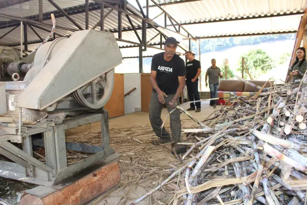 A pequena gigante das cachaças: Lamim, na Zona da Mata mineira, lidera ranking nacional de cachaçarias por habitante