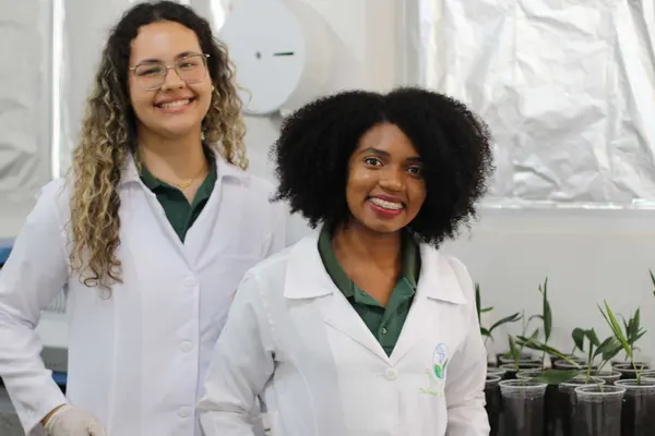 Tecnologia mineira impulsiona uso da macaúba como biocombustível para a aviação