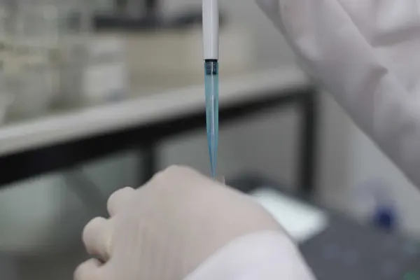 Tecnologia mineira impulsiona uso da macaúba como biocombustível para a aviação