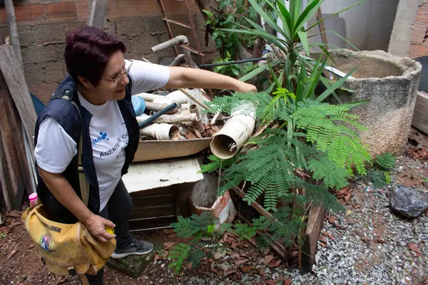 Governo de Minas mobiliza todo o estado para Dia D de combate ao Aedes aegypti
