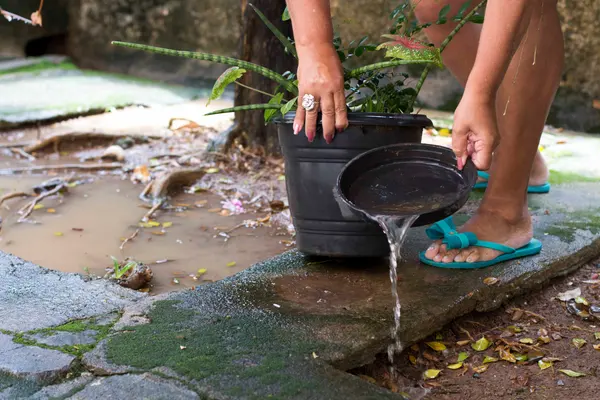 Governo de Minas mobiliza todo o estado para Dia D de combate ao Aedes aegypti