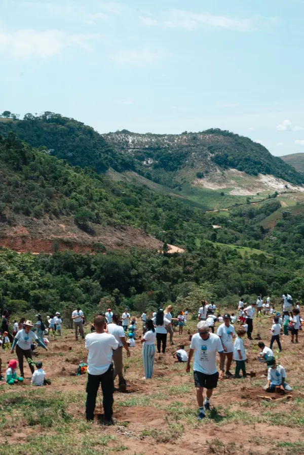 Plantio de 2 mil mudas mobiliza estudantes e fortalece educação ambiental em Lima Duarte