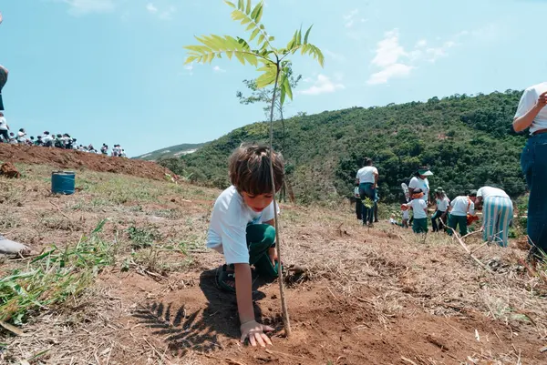 Plantio de 2 mil mudas mobiliza estudantes e fortalece educação ambiental em Lima Duarte