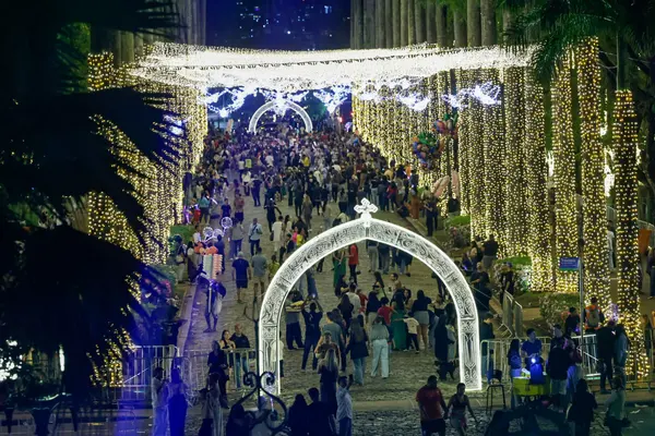 Governo de Minas abre o Natal da Mineiridade 2025 com inauguração das luzes da Praça da Liberdade e concerto da Vesperata de Diamantina