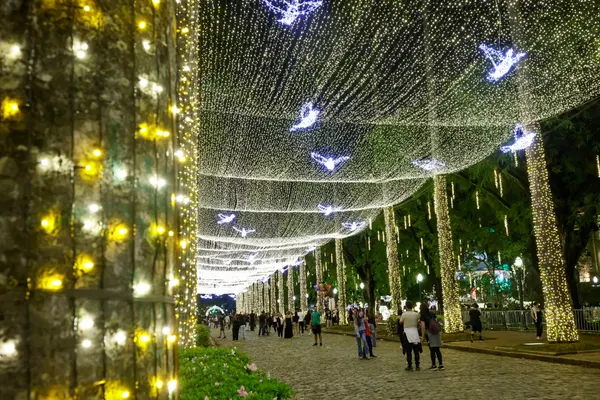Governo de Minas abre o Natal da Mineiridade 2025 com inauguração das luzes da Praça da Liberdade e concerto da Vesperata de Diamantina