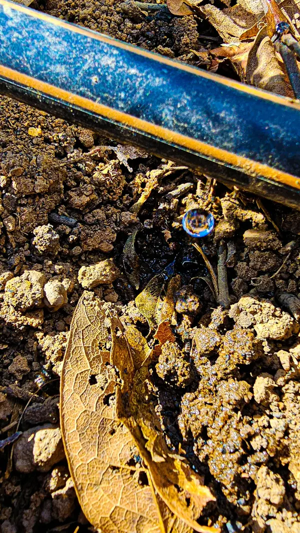 Distribuição de kits de irrigação pelo Governo de Minas acelerou desenvolvimento no campo em 2025