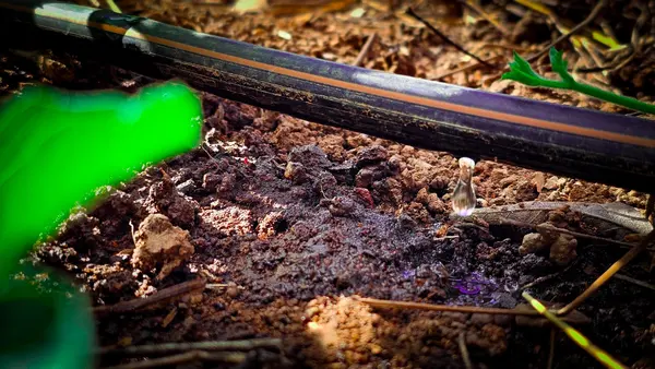 Distribuição de kits de irrigação pelo Governo de Minas acelerou desenvolvimento no campo em 2025